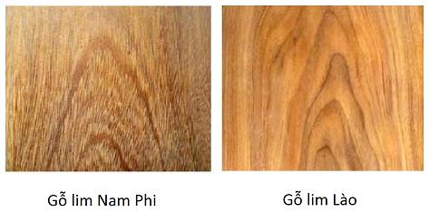 Gỗ lim - Cách phân biệt và ưu nhược điểm của gỗ