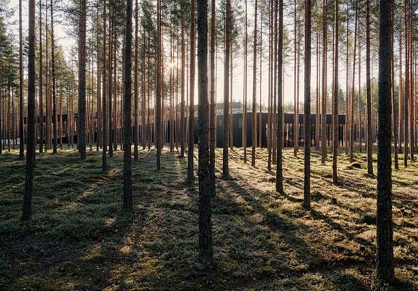 Tòa nhà gỗ giảm thiểu tác động sinh thái với môi trường